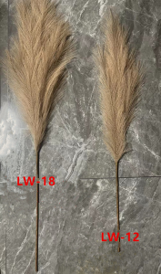 LW-12W/IV/LT BW   LW-18W/IV/LT BW